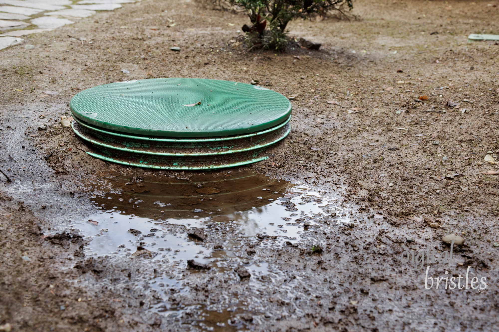 Leaks around the locking lids of a septic system's tanks