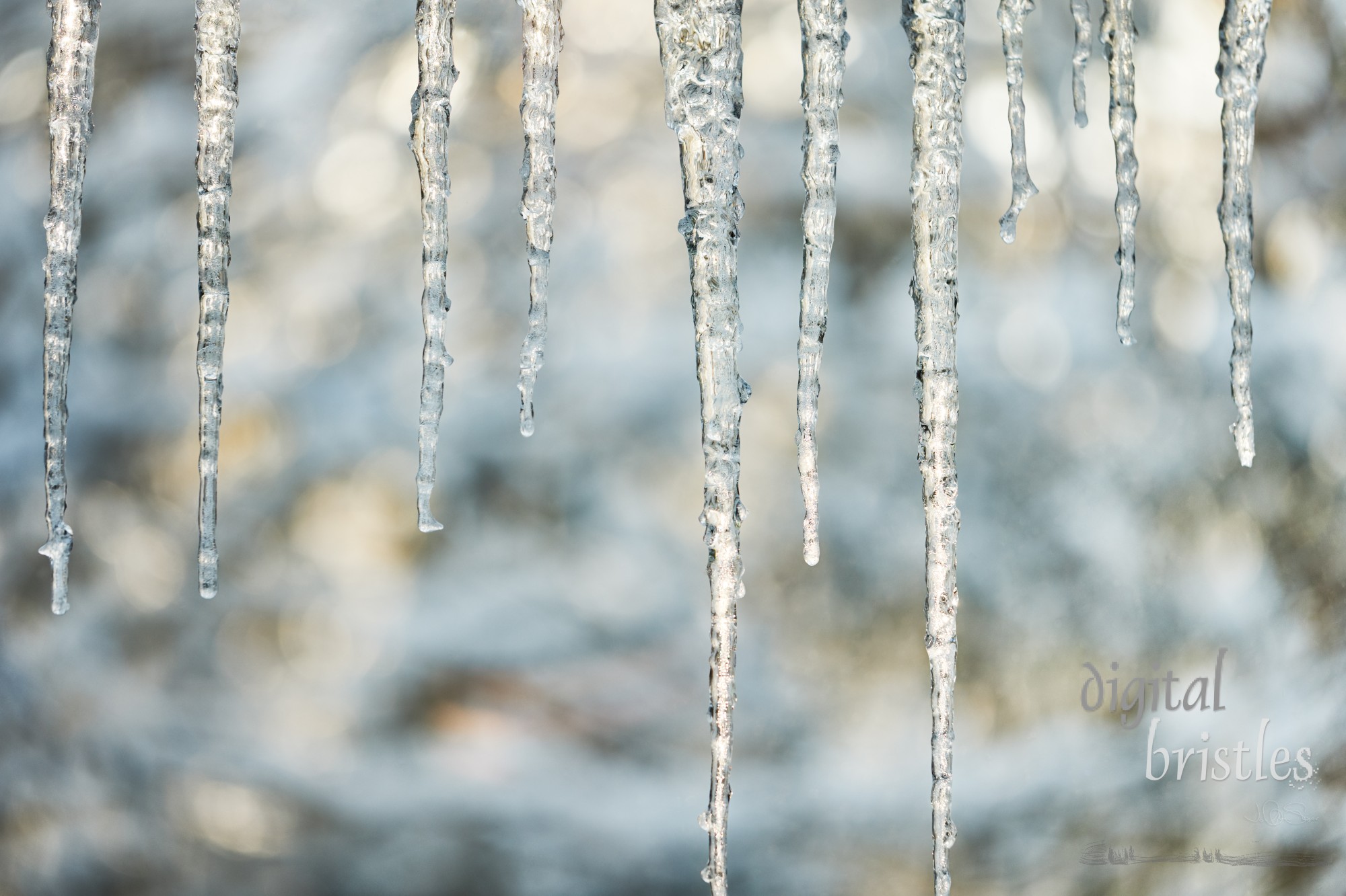 Wintry early morning light on icidles dangling over a window with snowy trees in the background