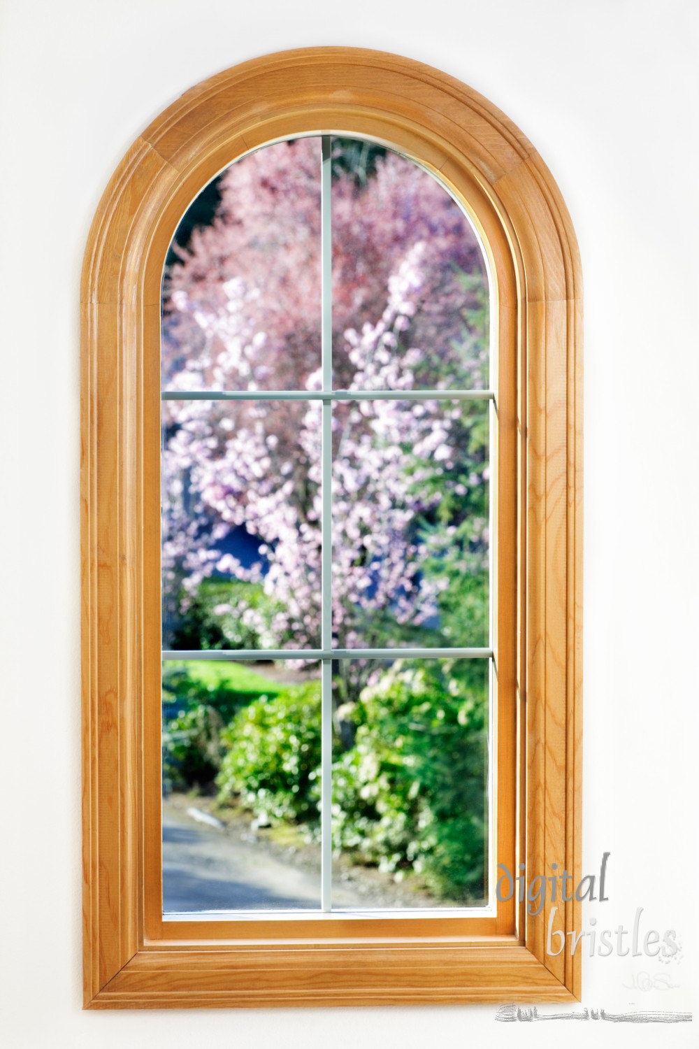 Round top window with a view of spring flowering trees in sunshine