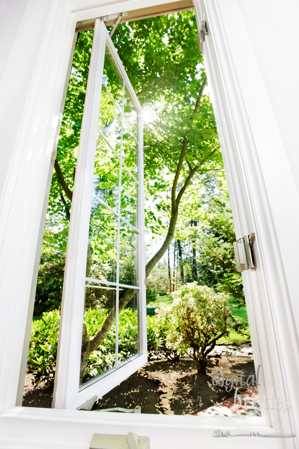 Window open to sunny, summer garden; focus on interior window frame.