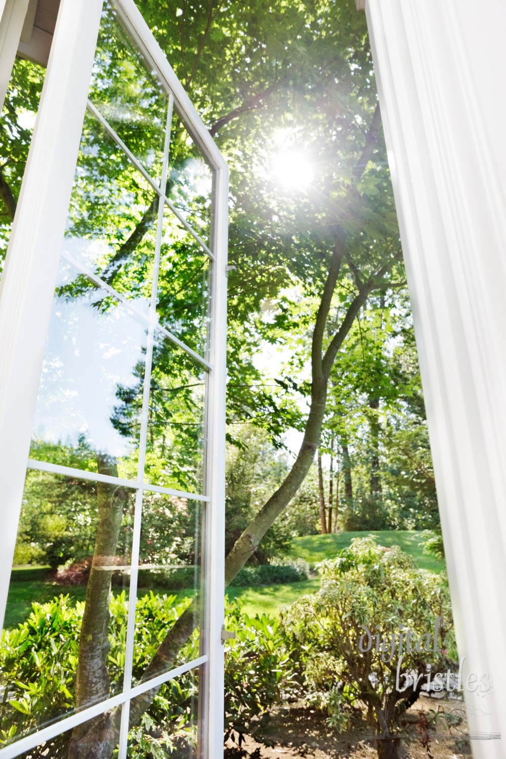 Window open to sunny, summer garden