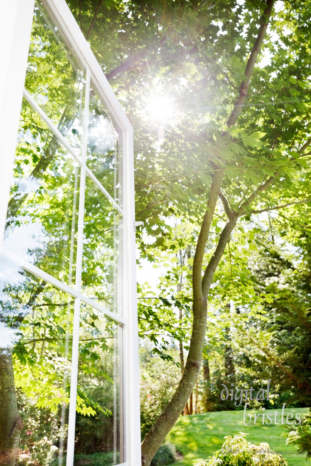 Window open to sunny, summer garden; focus on far edge of window frame