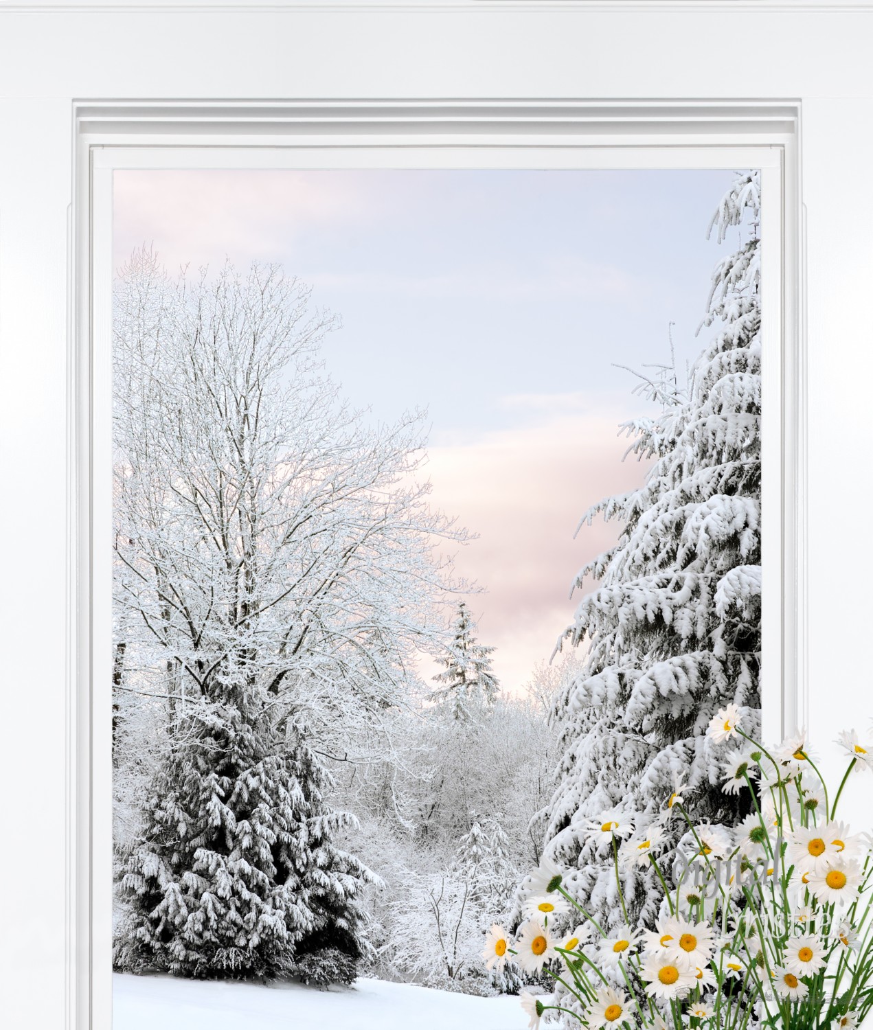 Winter view with thoughts of spring blooming