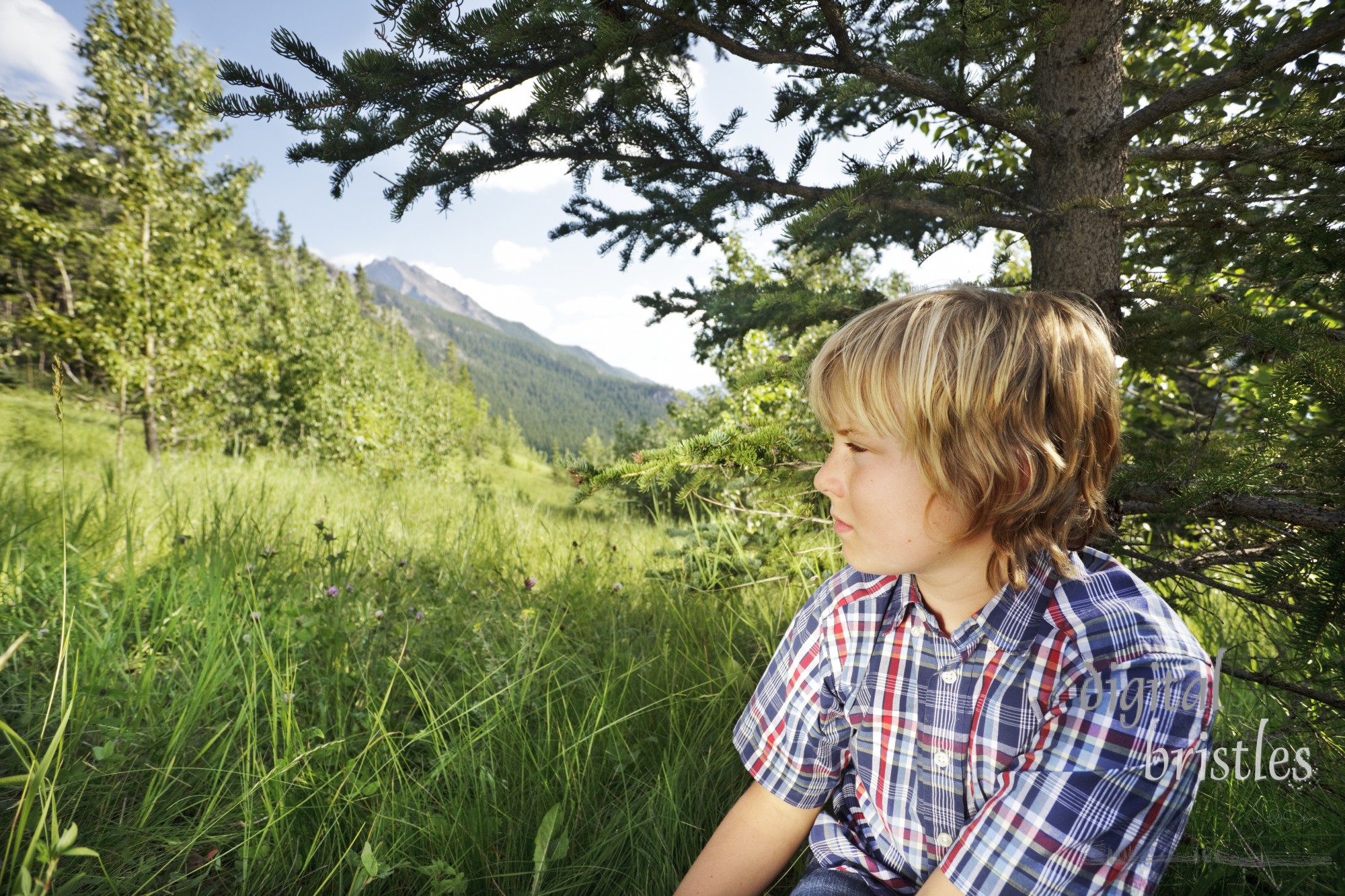 Moody young boy staring out over the meadow