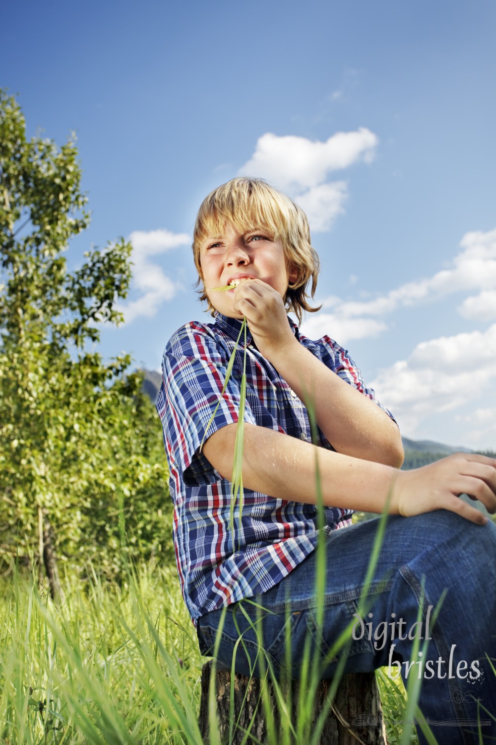 Little boy sits on a stump in a mountain meadow and chews grass