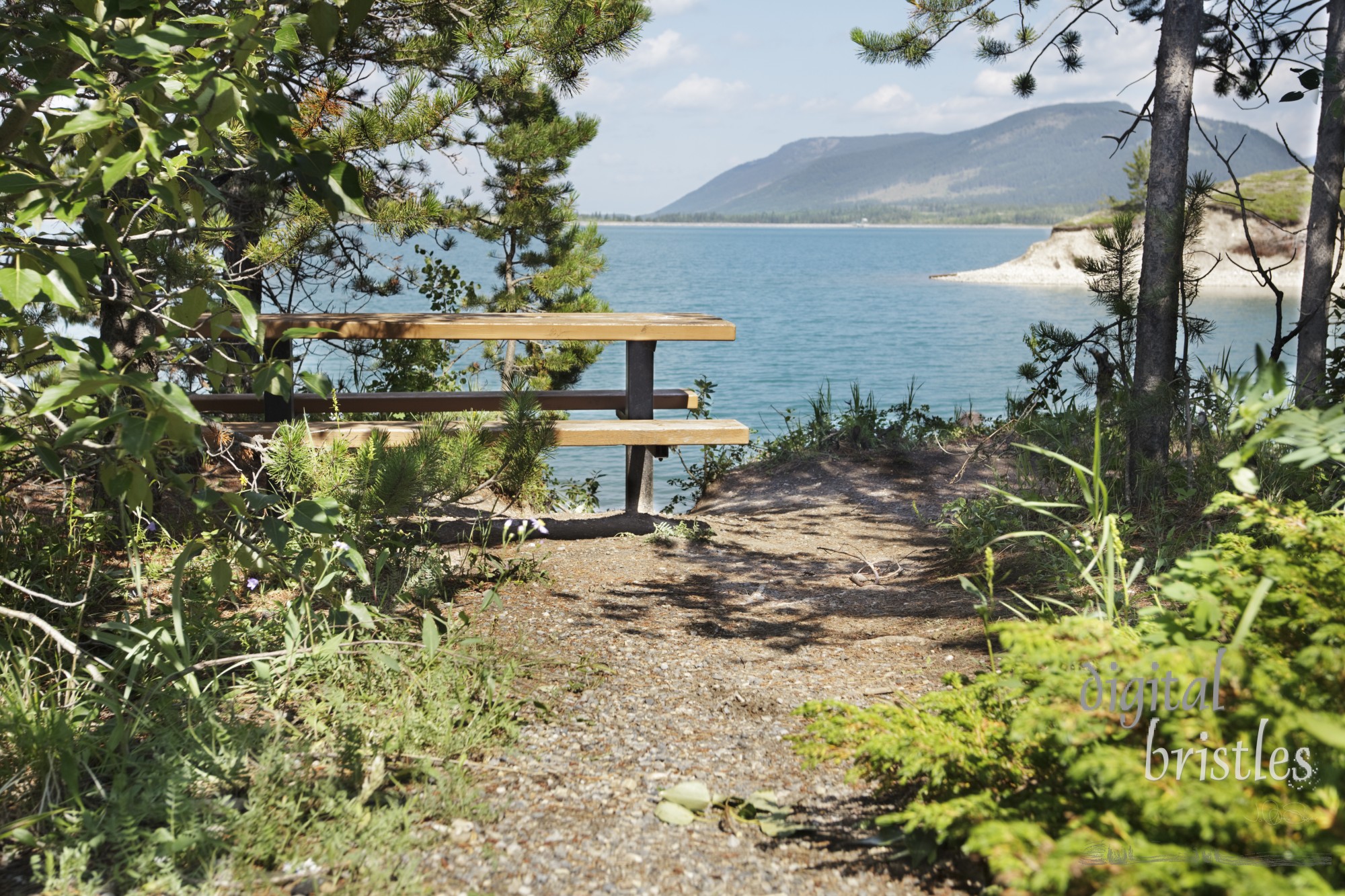 Rustic picnic table with a lake view, Barrier Lake, Alberta