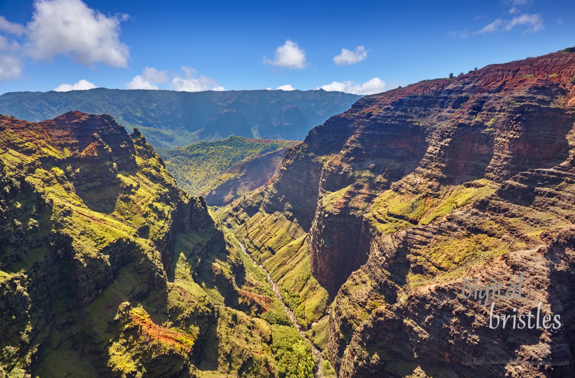 Layers of weathered rock and lush greenery, Waimea Canyon, Kauai, Hawaii