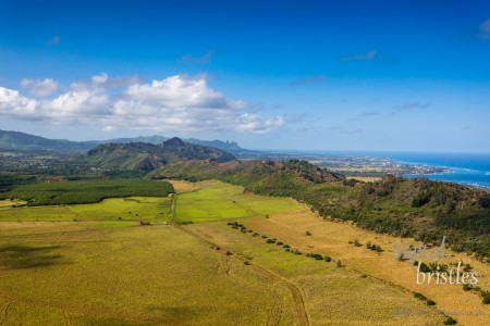 Kauai