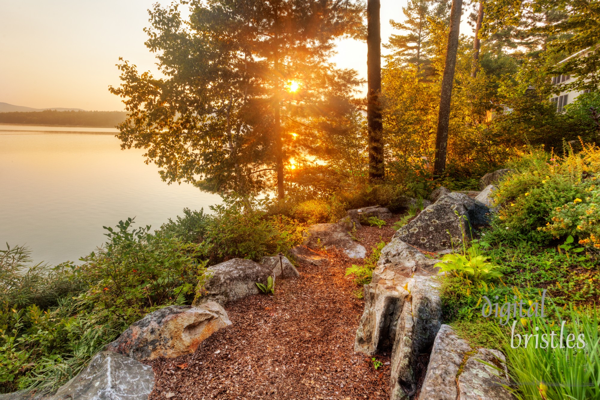 First sunshine through tress filters through onto bark mulch path down to the lake