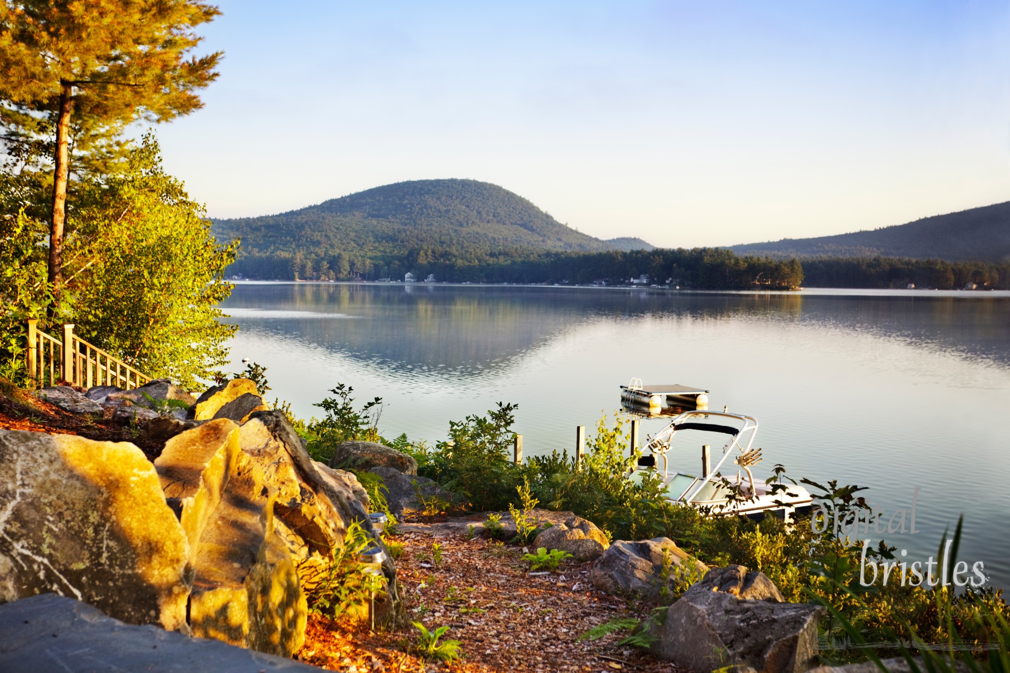 Path down to a lake in the early morning calm