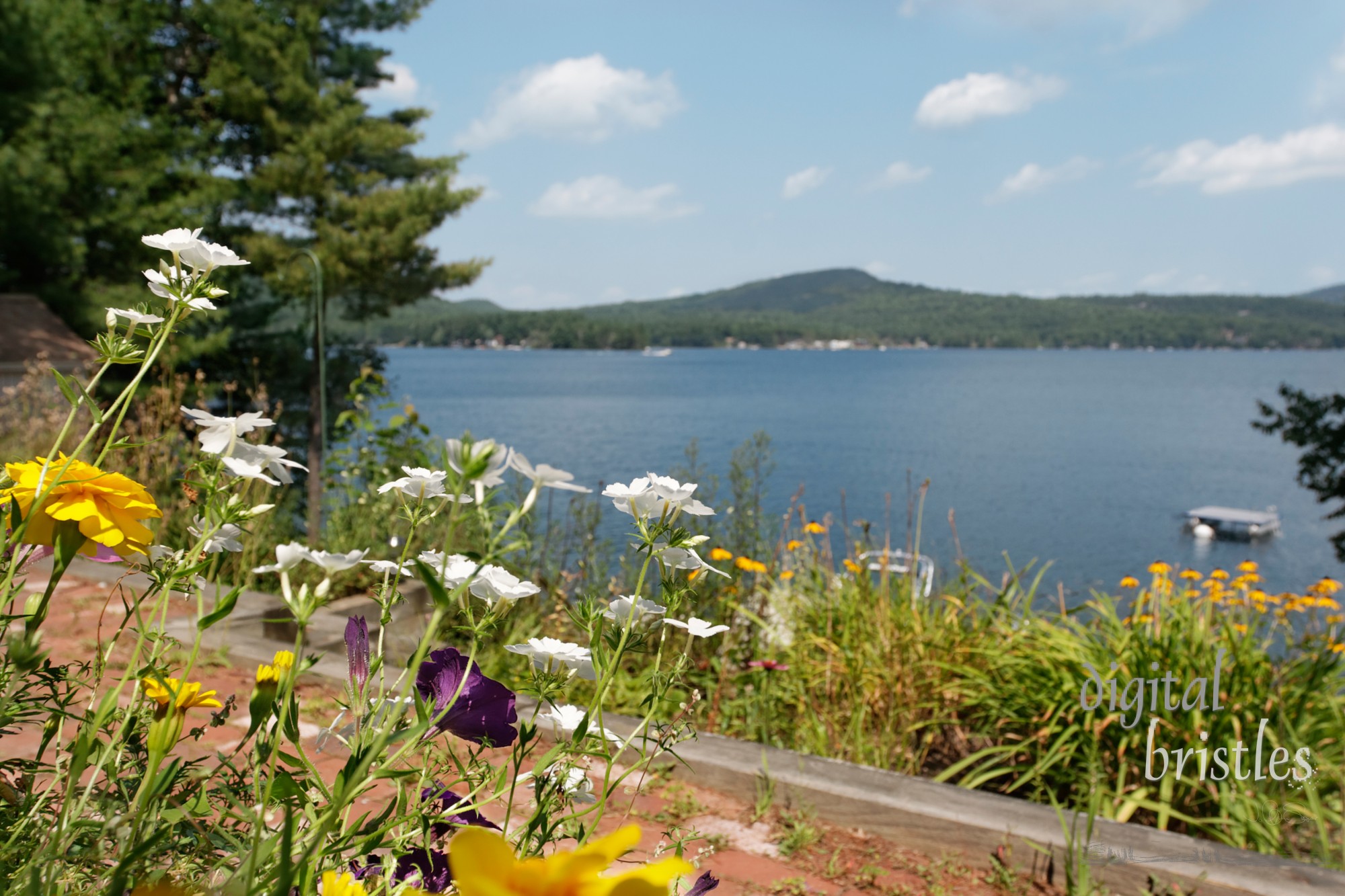 View from the garden over a New Hampshire lake