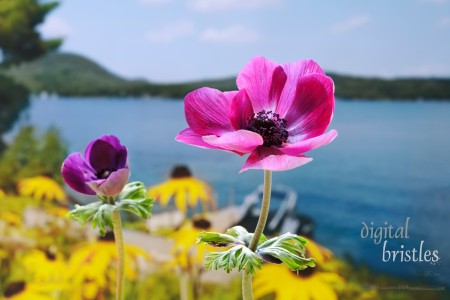 Merrymeeting Lake