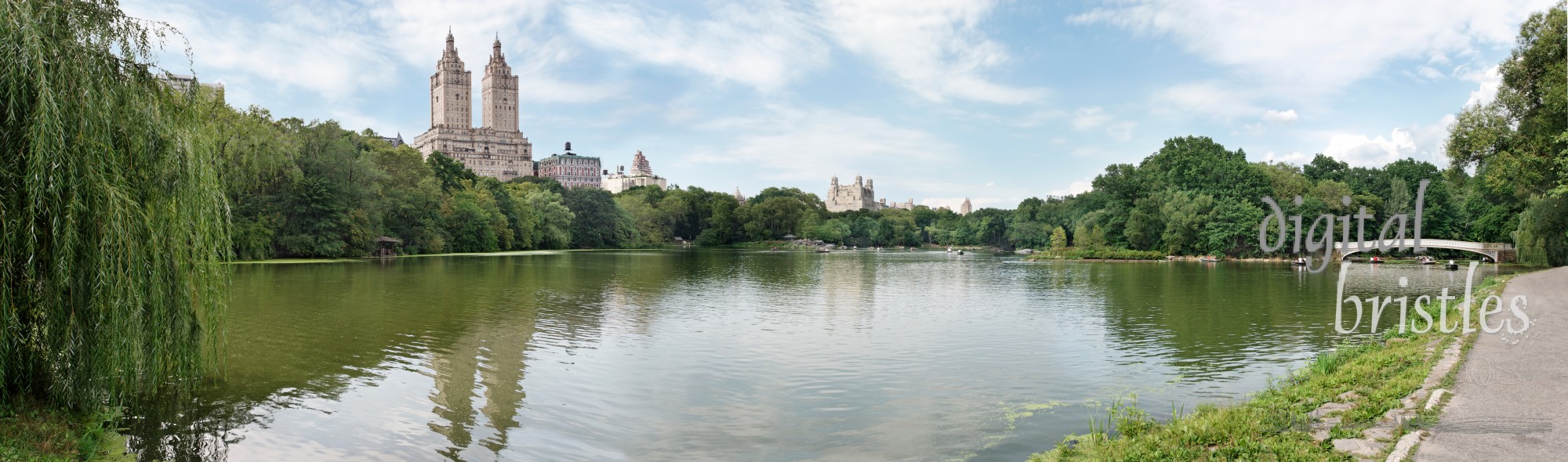 Rowing on the lake in Central Park, New York, on a summer afternoon