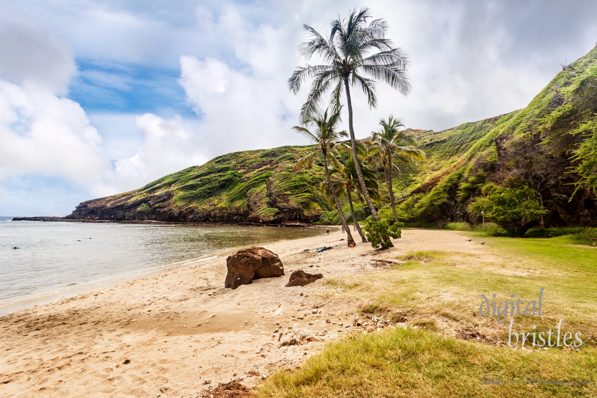 Beach at Hanauma Bay - digital bristles