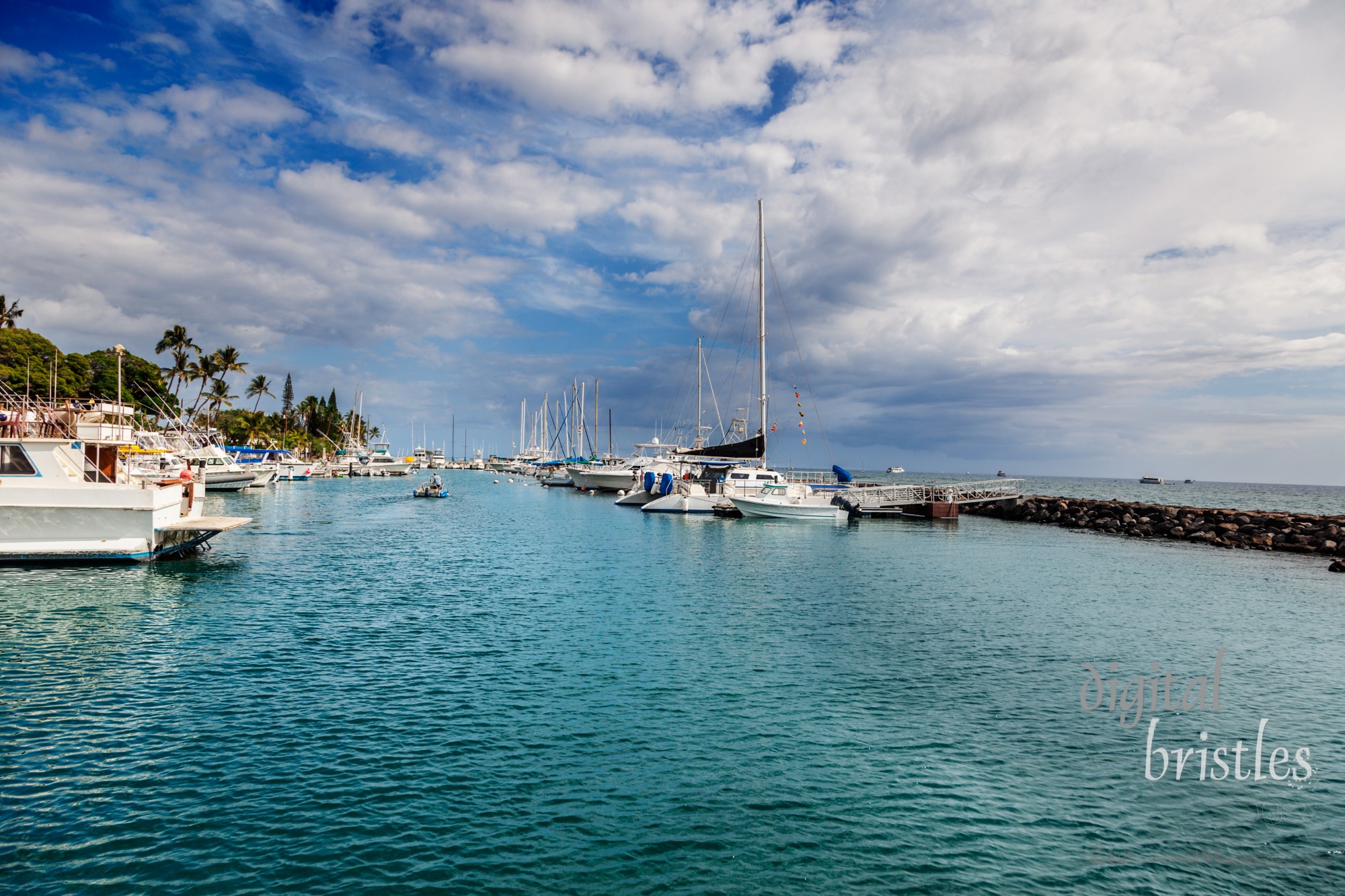 Boats docked in the marina at Lahaina, Maui, Hawaii