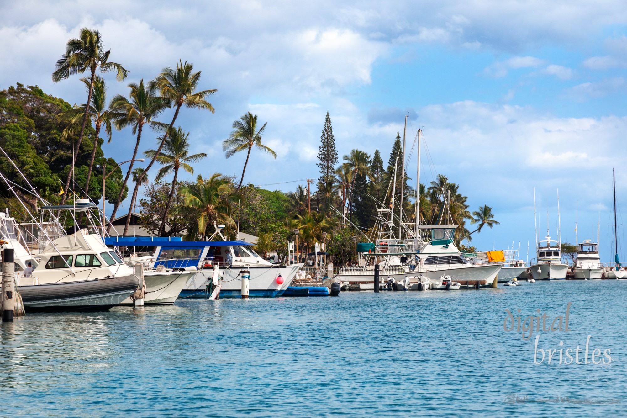 Motorboats and sailboats docked in the harbor at Lahaina, Maui, Hawaii