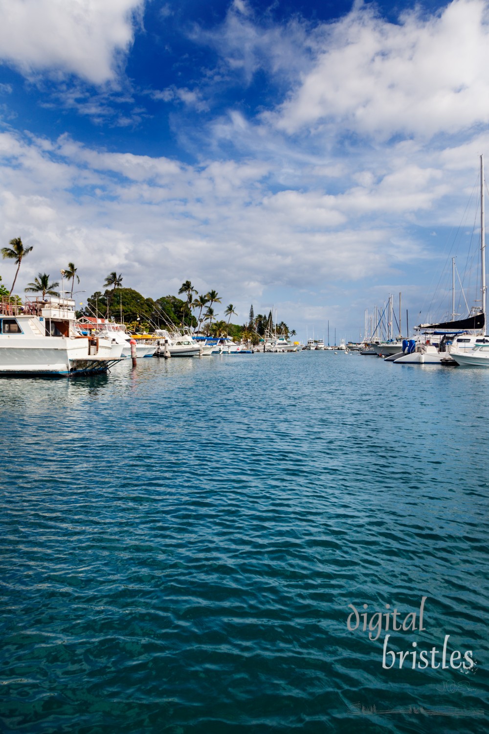 Boats docked in the marina at Lahaina, Maui, Hawaii