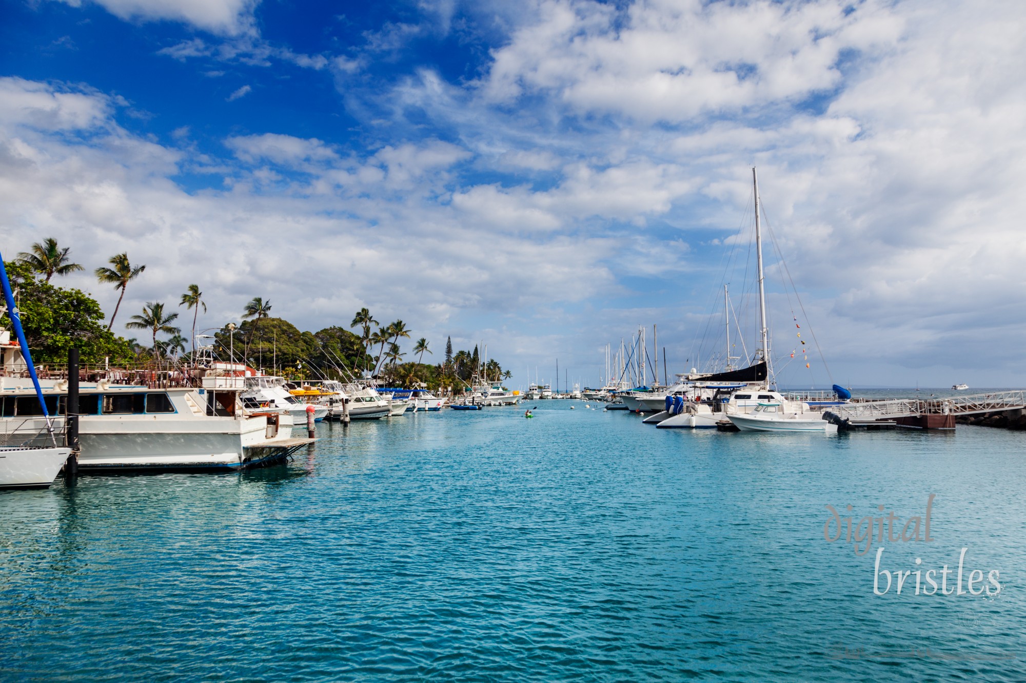 Boats docked in the harbor at Lahaina, Maui, Hawaii