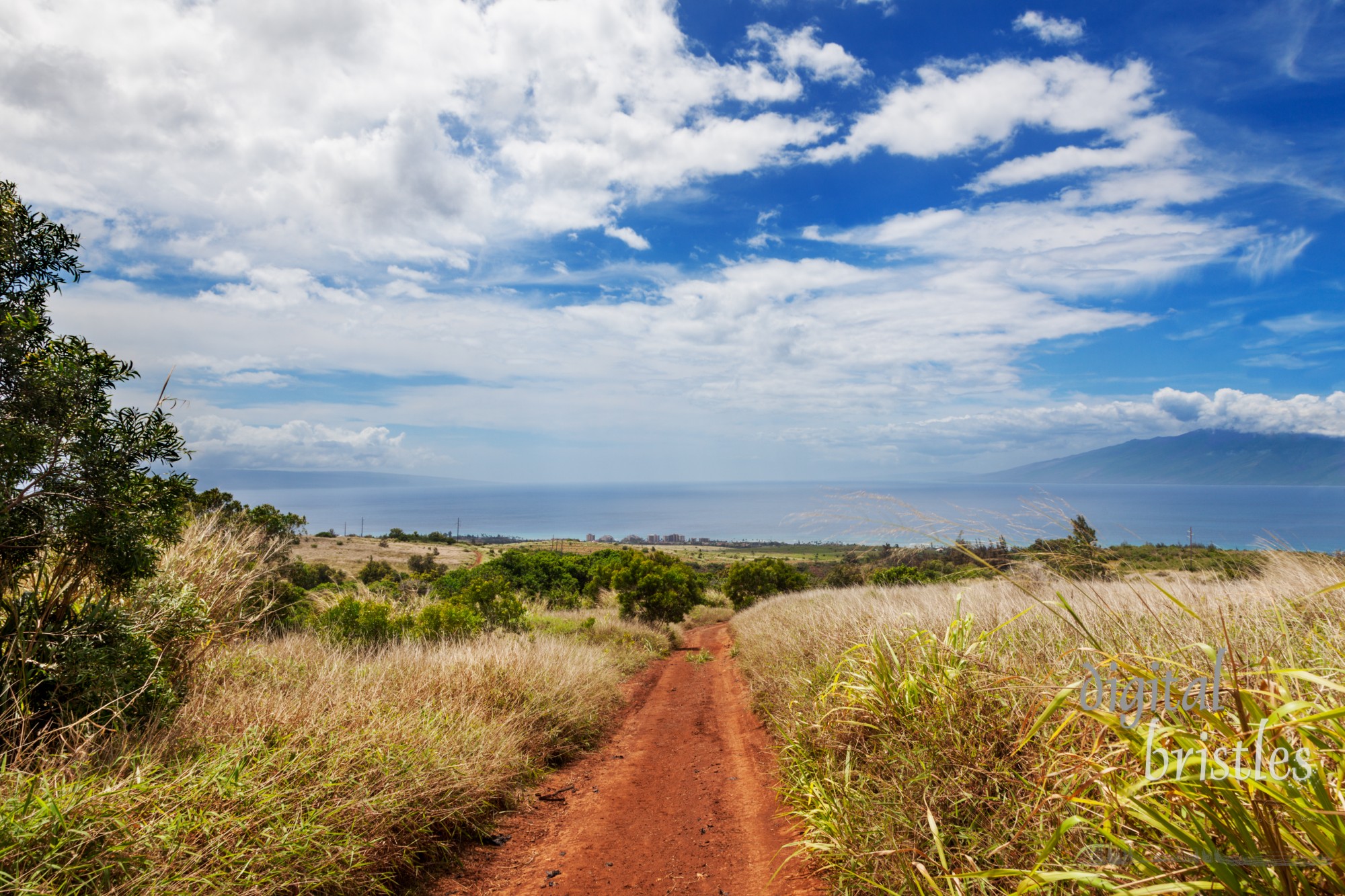 Deep red dirt road and dry grasses on the hillside of Maui, Hawaii with the hotels of Kaanapali beach in the background