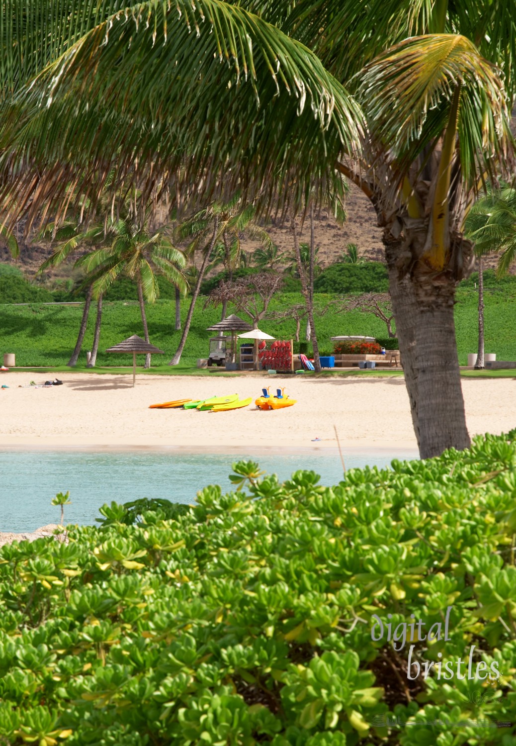 Colorful rental boats waiting on the beach