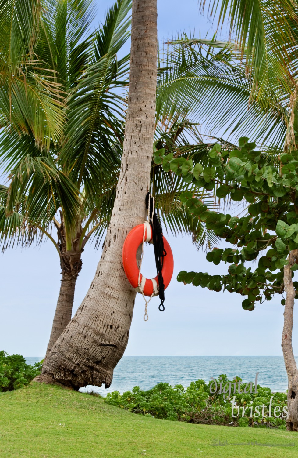 Not the best tree to hook this to?