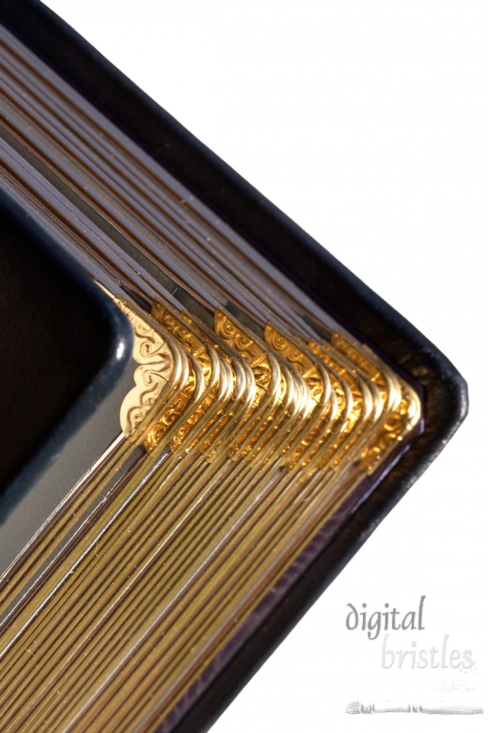 Metal edged pages in a leather bound album