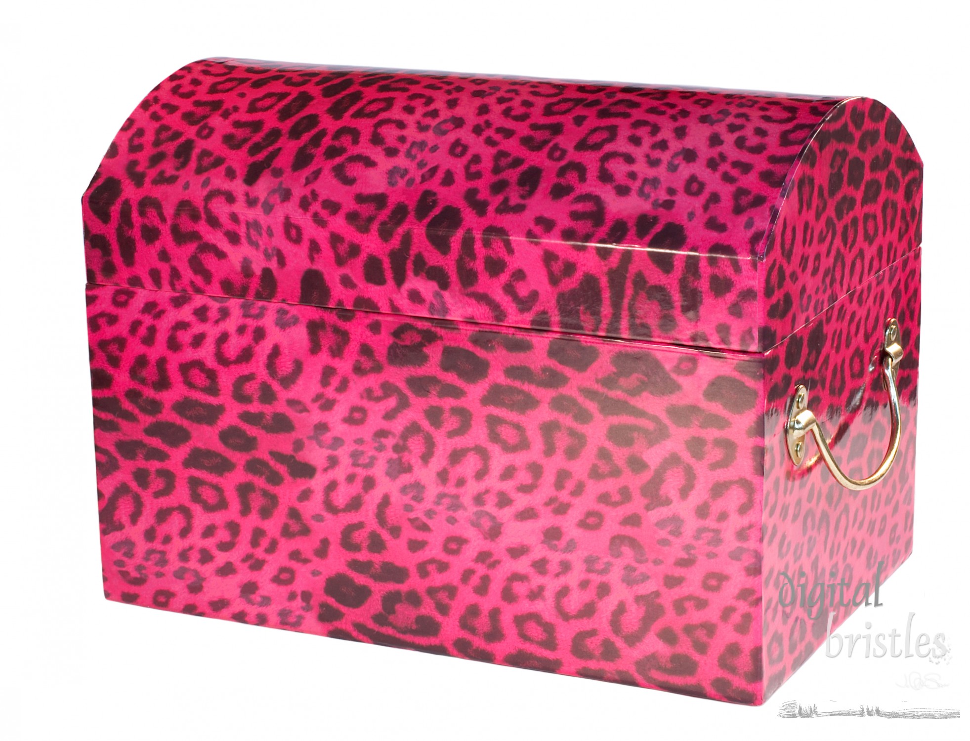 Leopard print dress-up trunk, closed