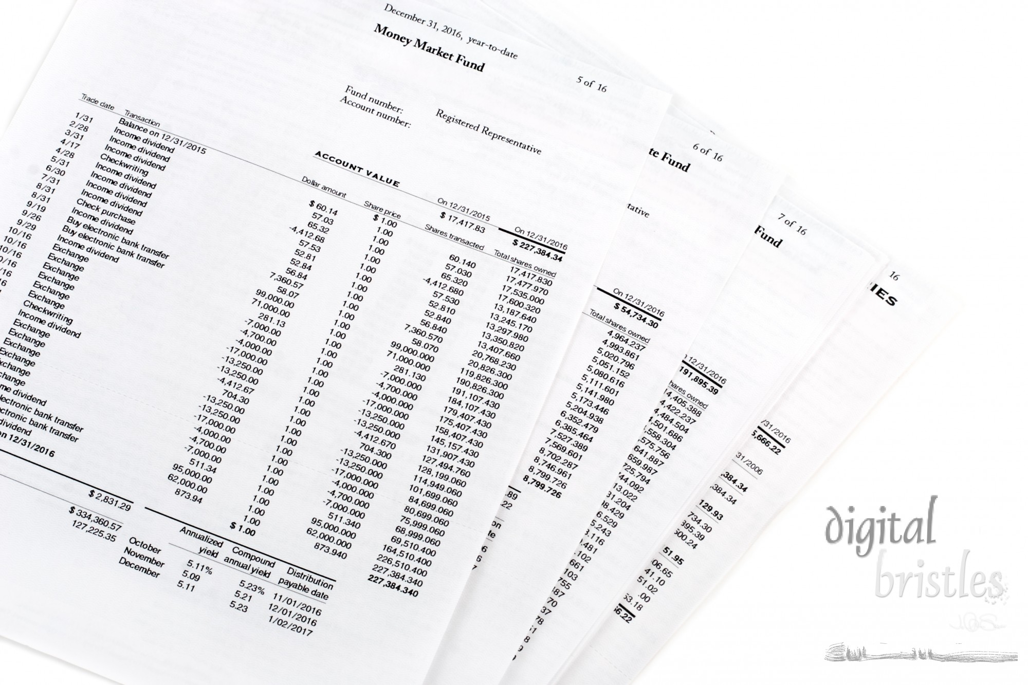 Money Market fund statements - year end savings and investments with transaction detail