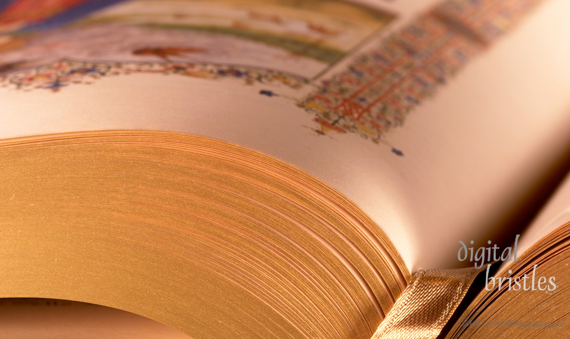 Gilded edge pages in illuminated bible