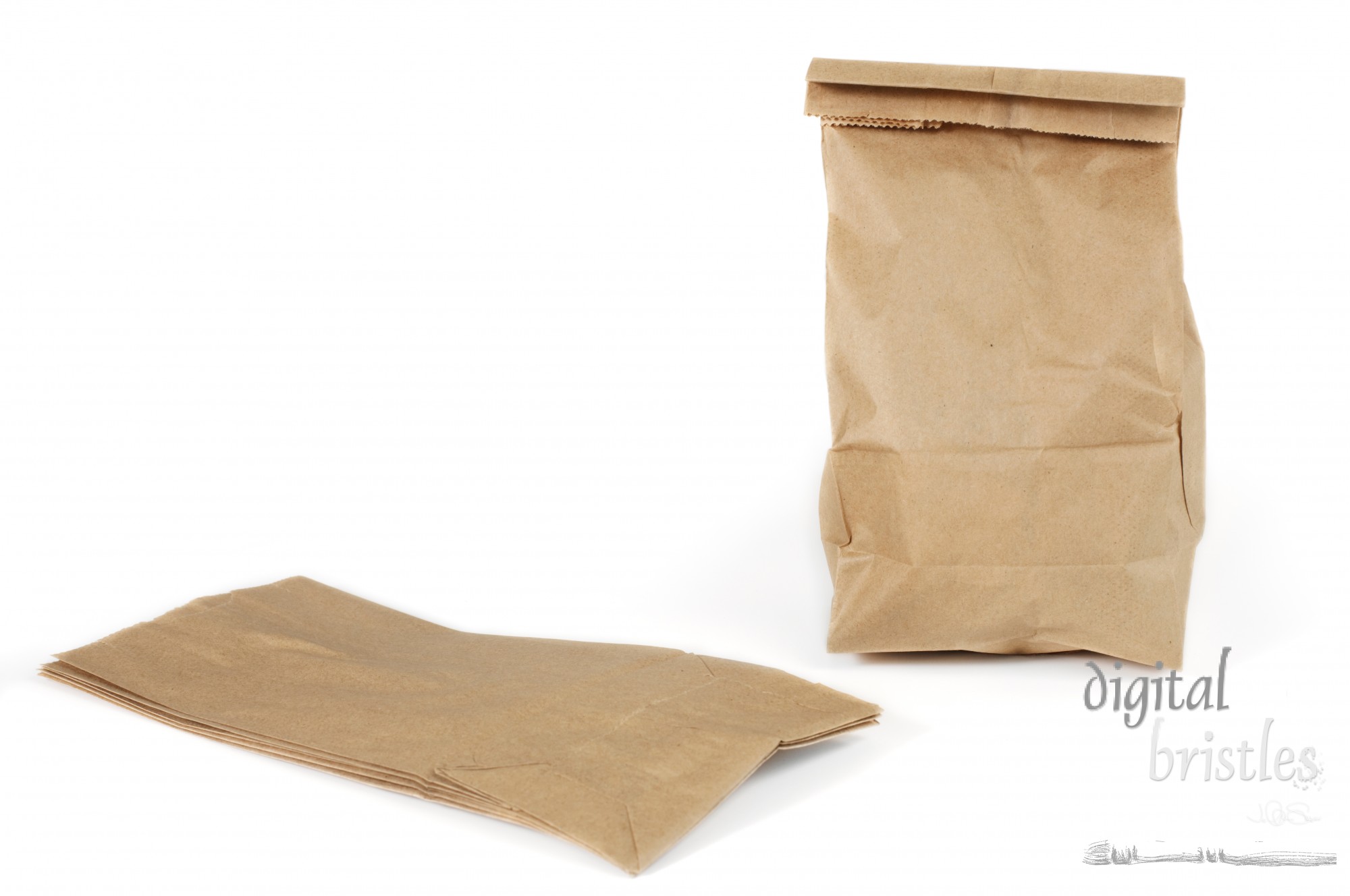 Paper lunch bags - disposable, not reusable