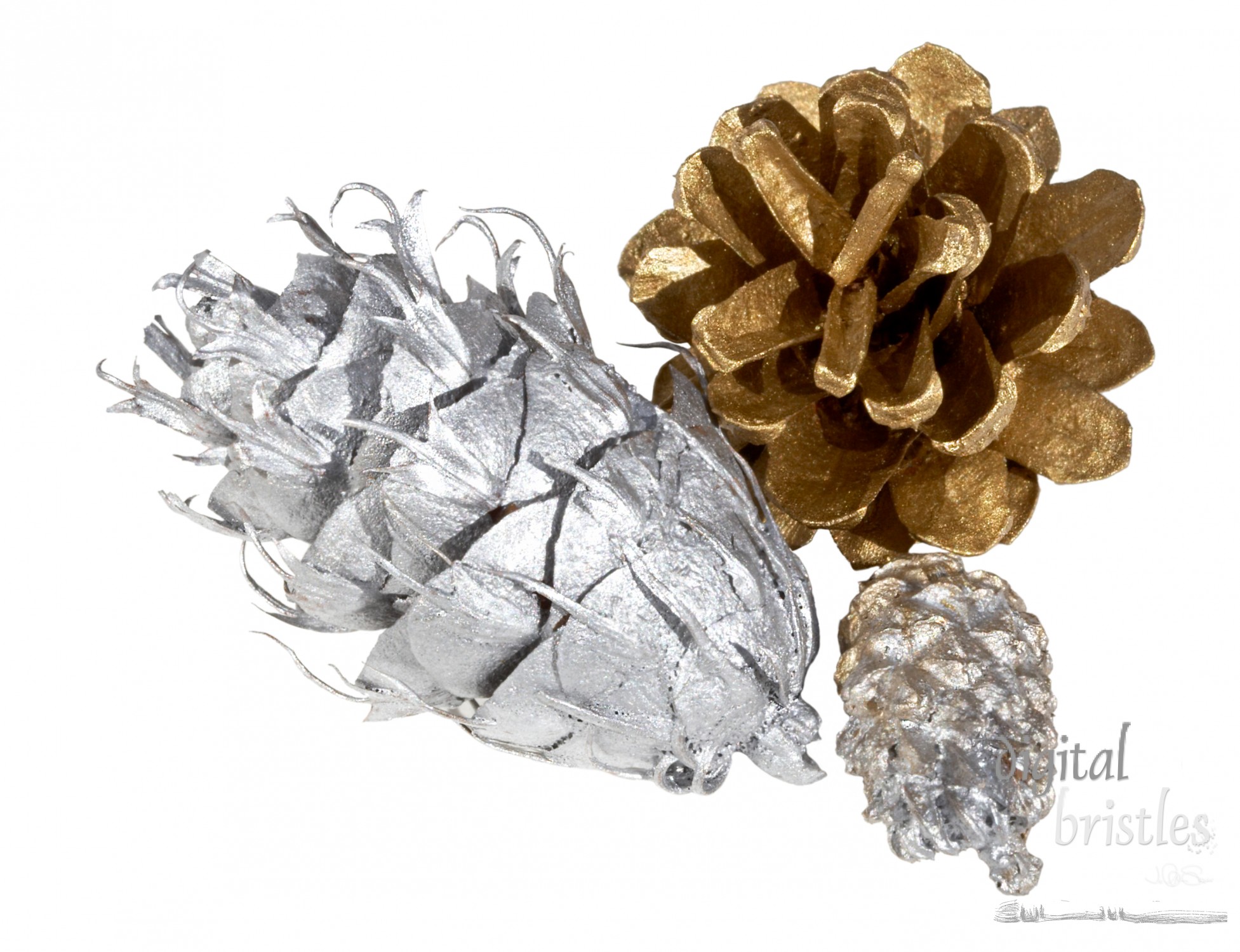 Silver and gold painted pine cones