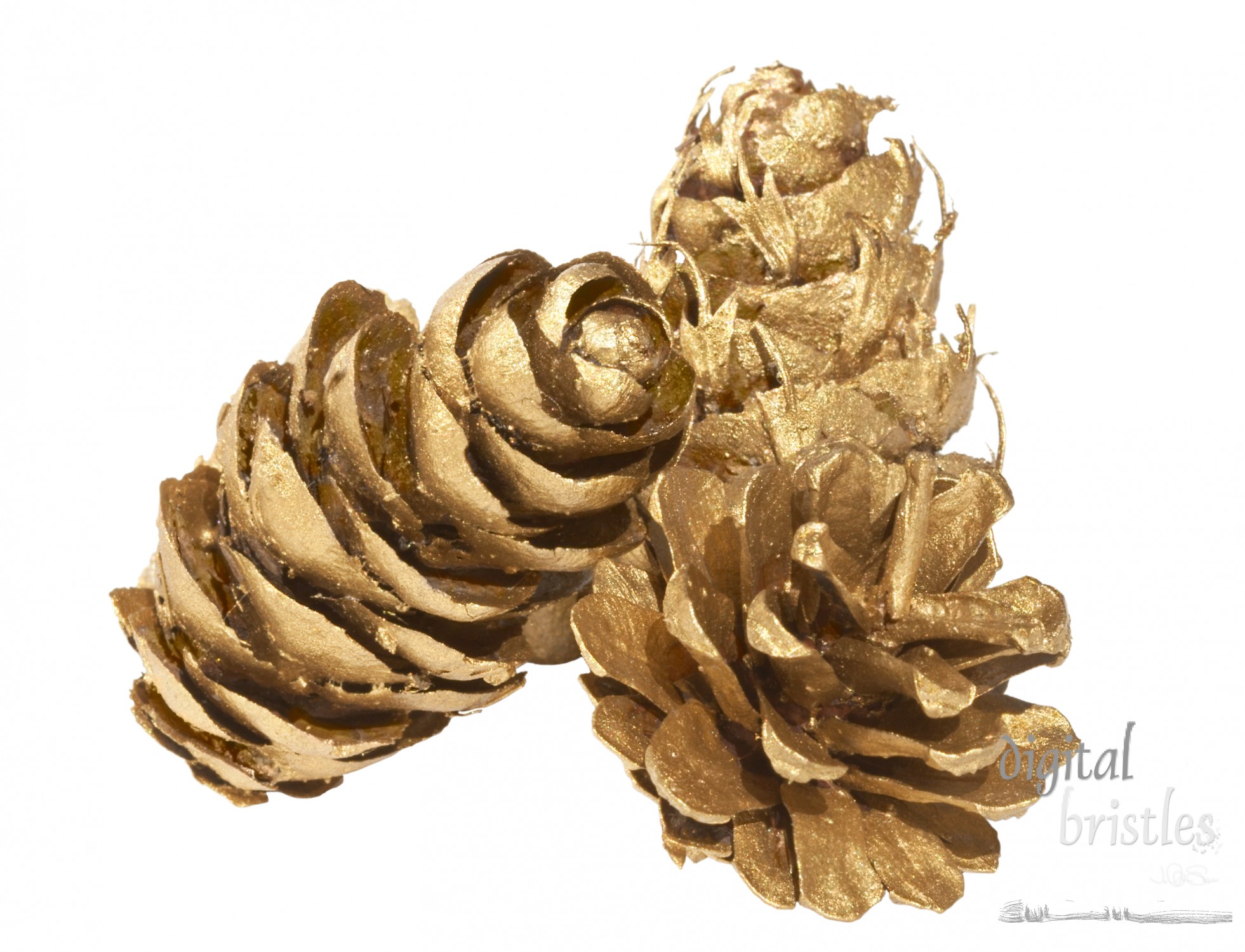 Three gold painted pine cones