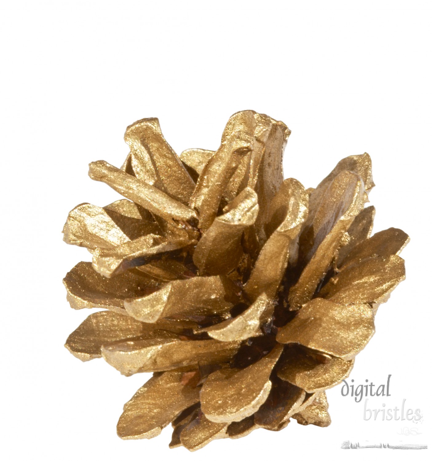 Christmas/holiday decoration - gold painted pine cone