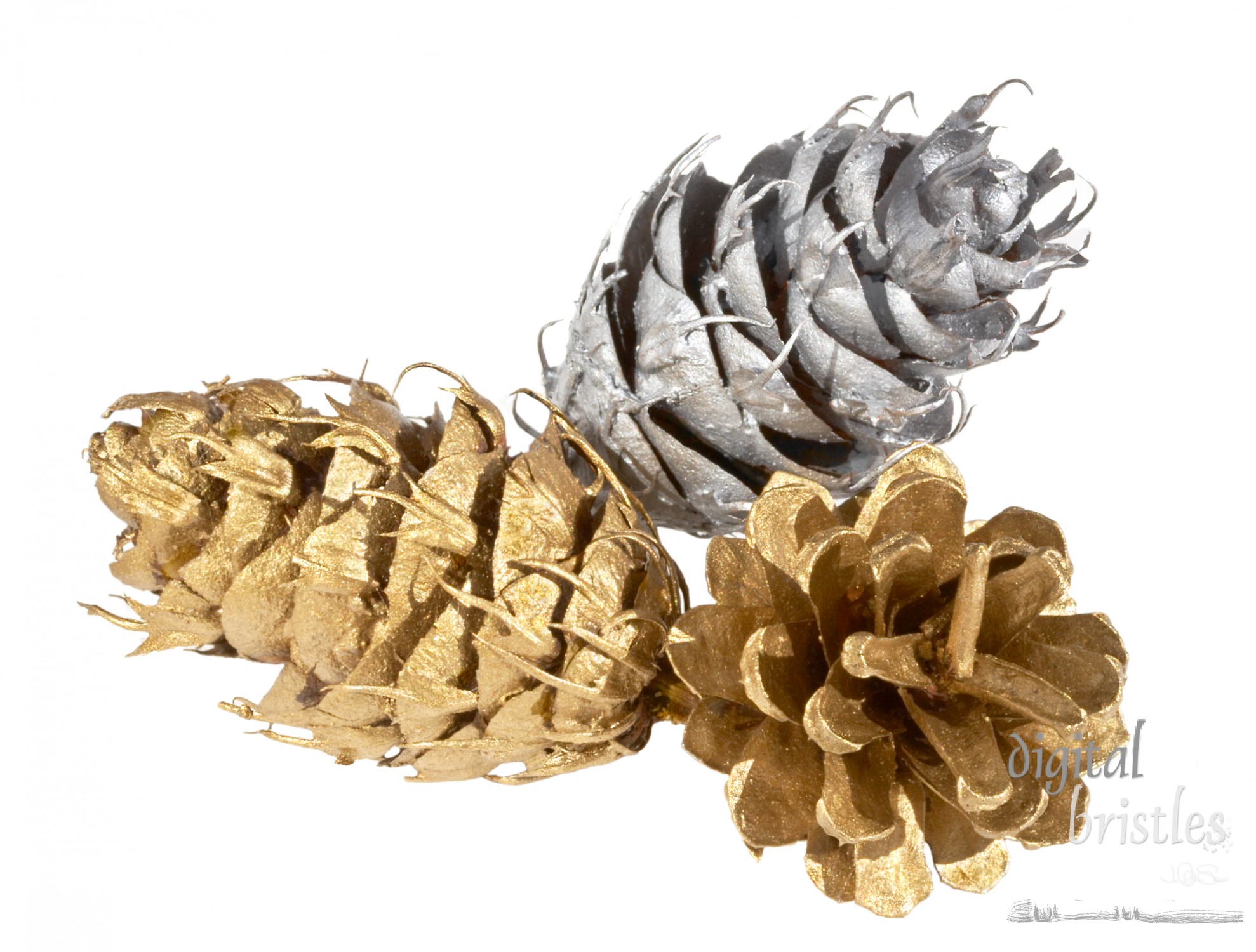 Silver & gold painted Christmas/holiday pine cones