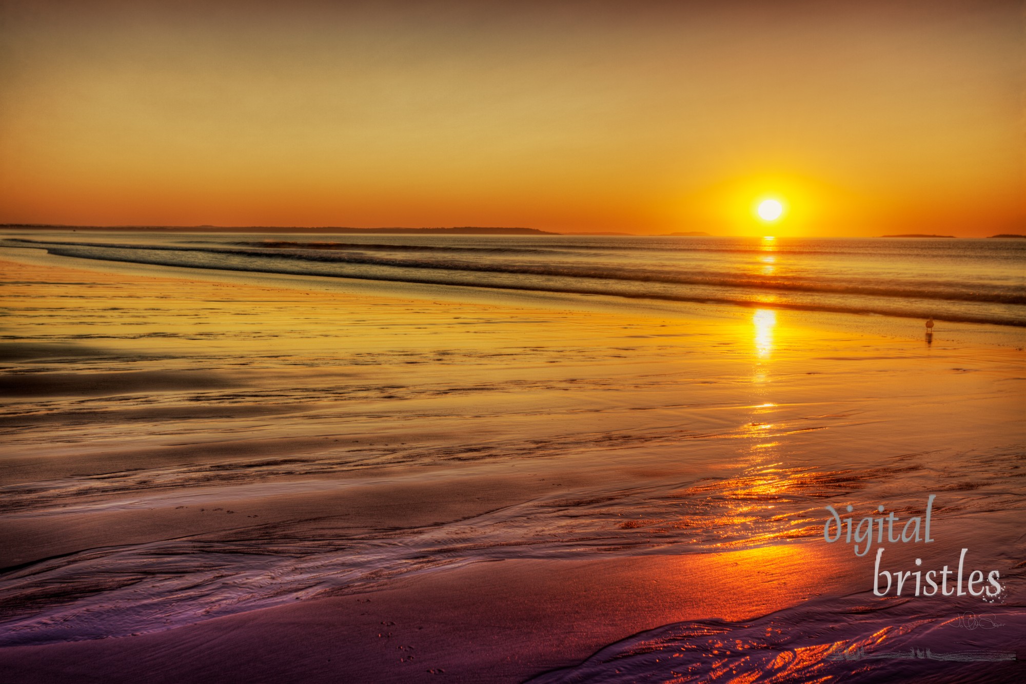 Early morning sun turns the beach gold in Maine