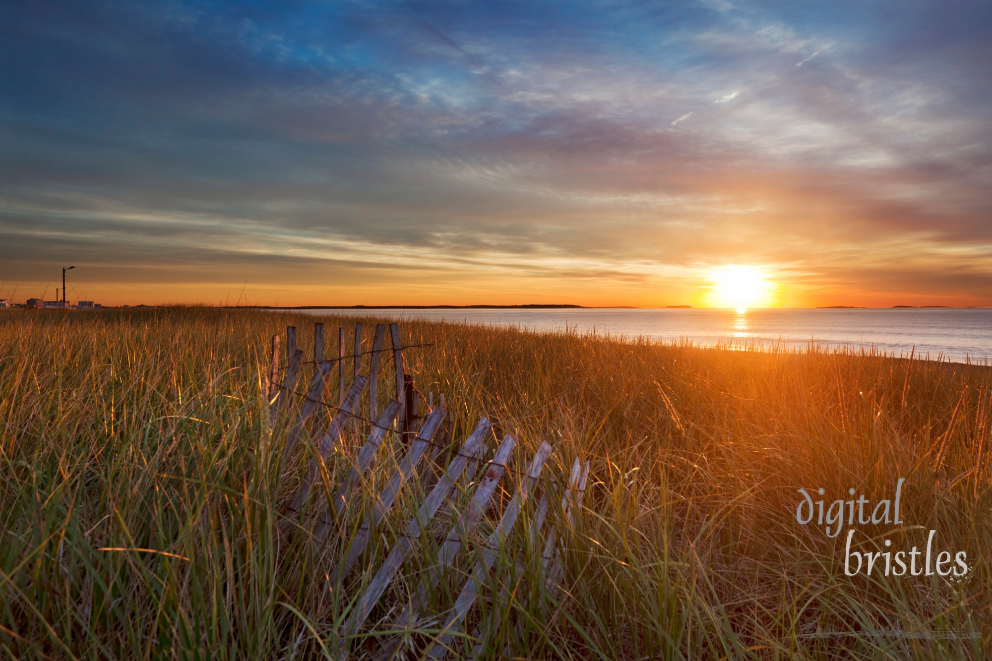 Maine dunes bathed in orange sunrise light