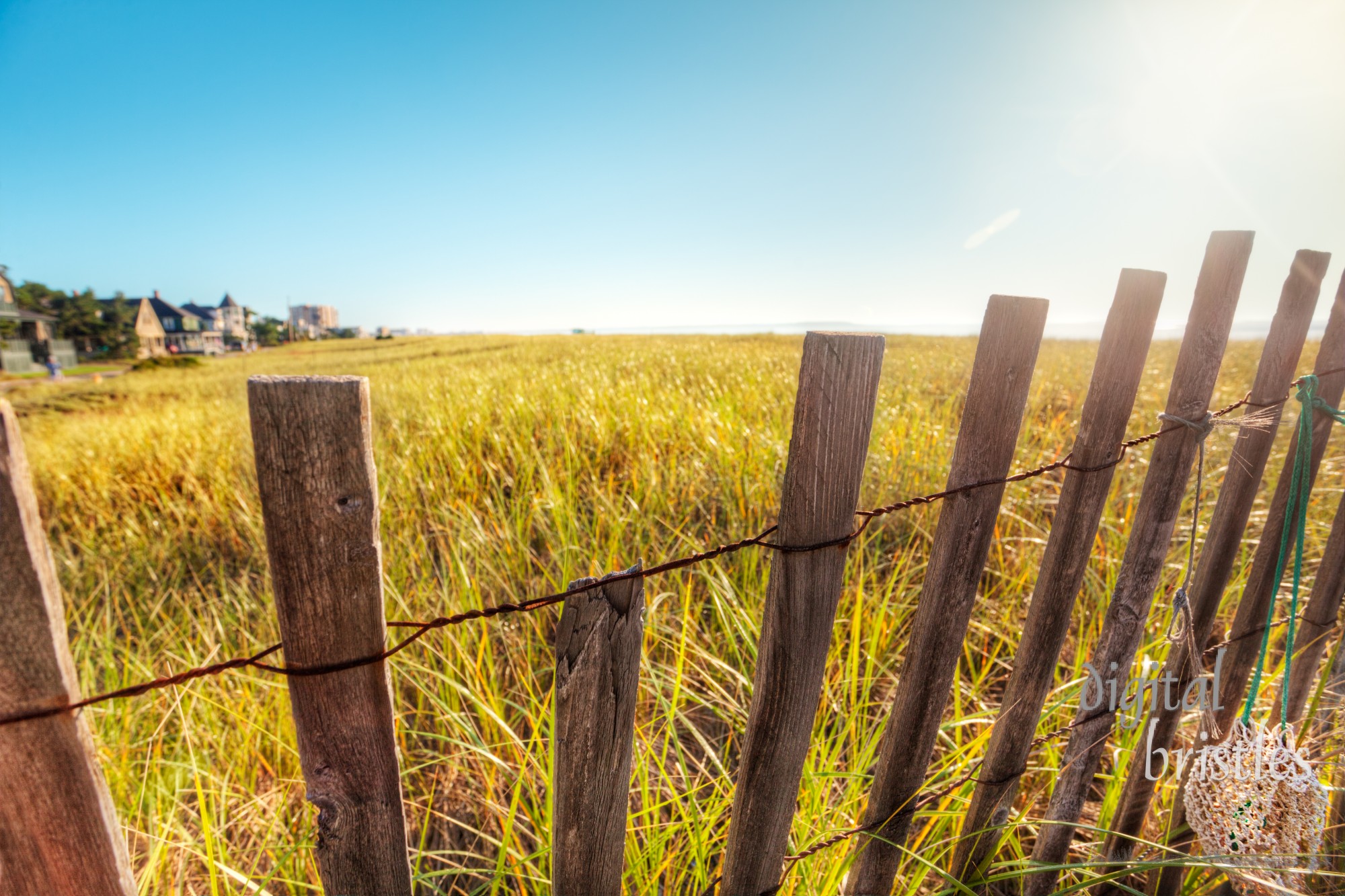 Broken down boardwalk fence in Maine sand dunes early on a summer morning