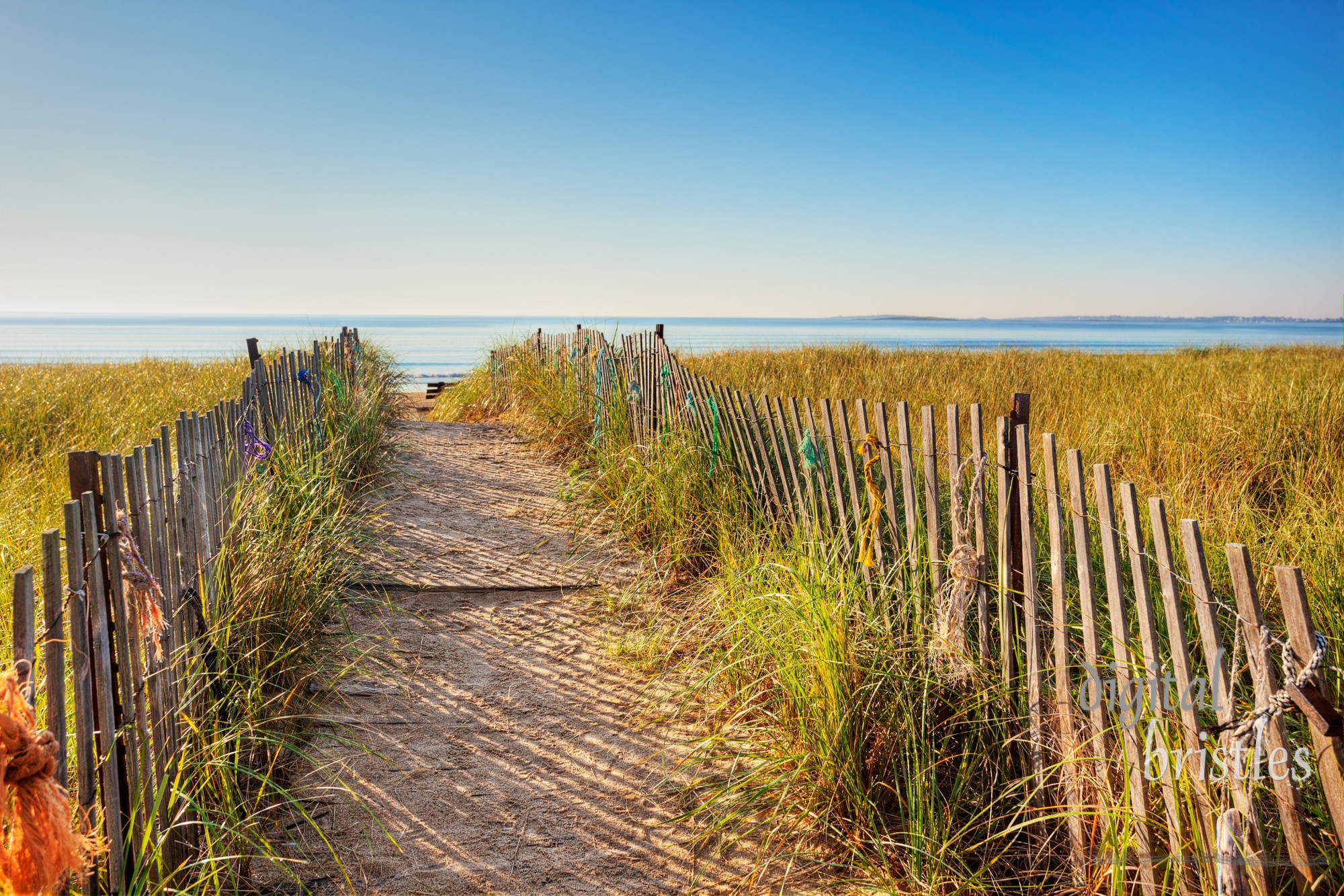 Boardwalk through the dunes on the Maine coast with colorful ropes tied on the fence