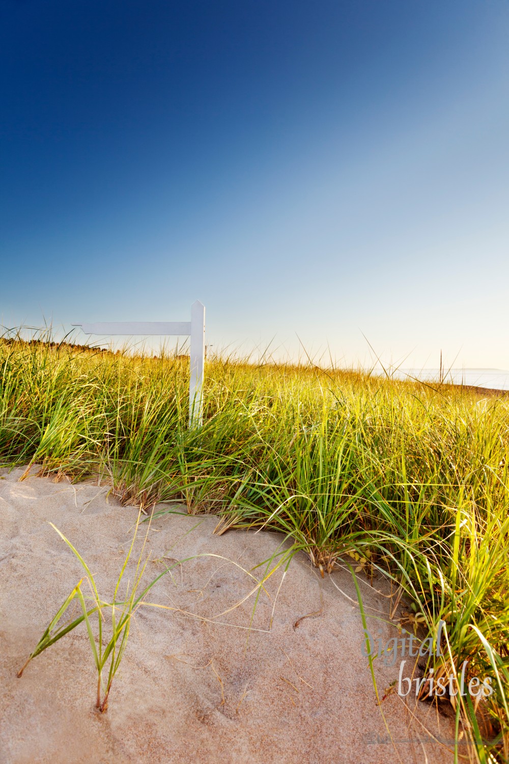 Path through dunes with signpost