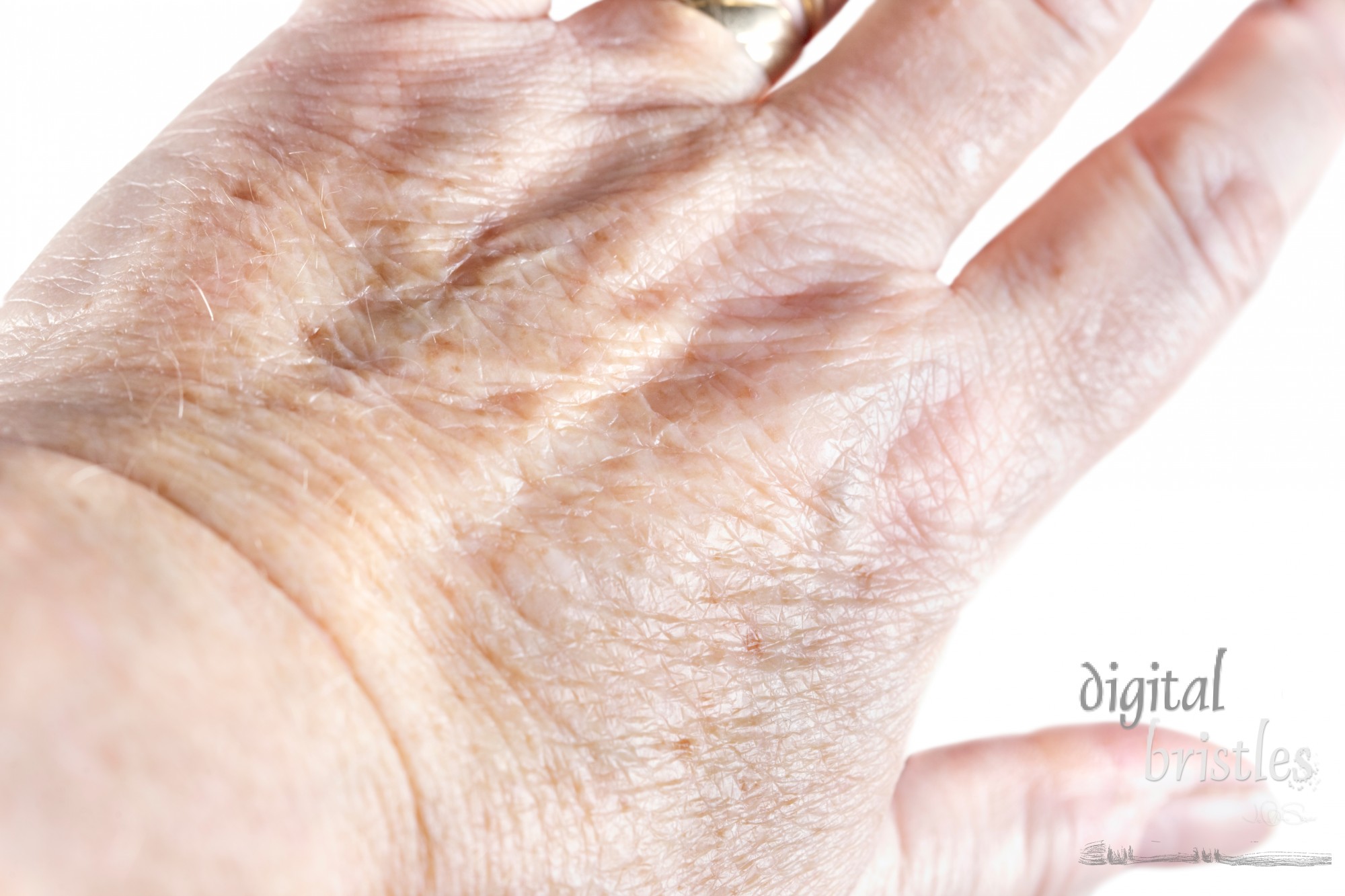 Back of a mature woman's hand showing liver spots and papery skin