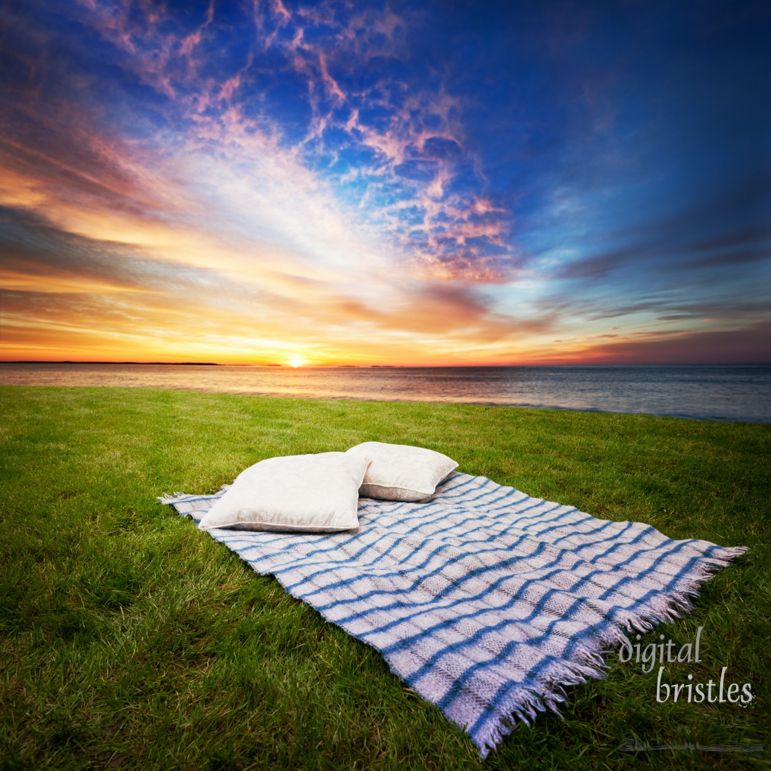 Blanket and pillows for two in a peaceful spot