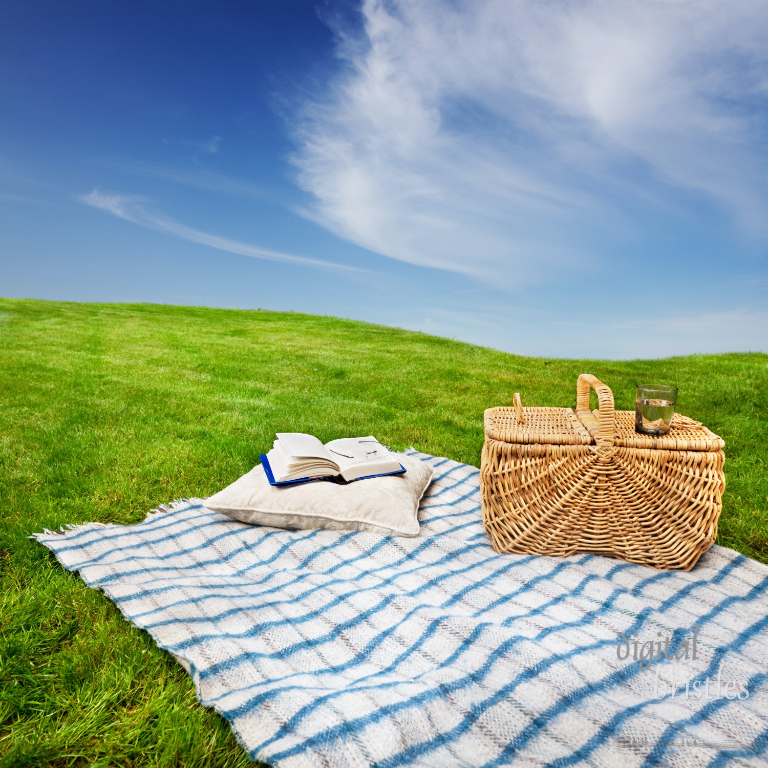 Relaxing with a picnic and a good book in a quiet meadow