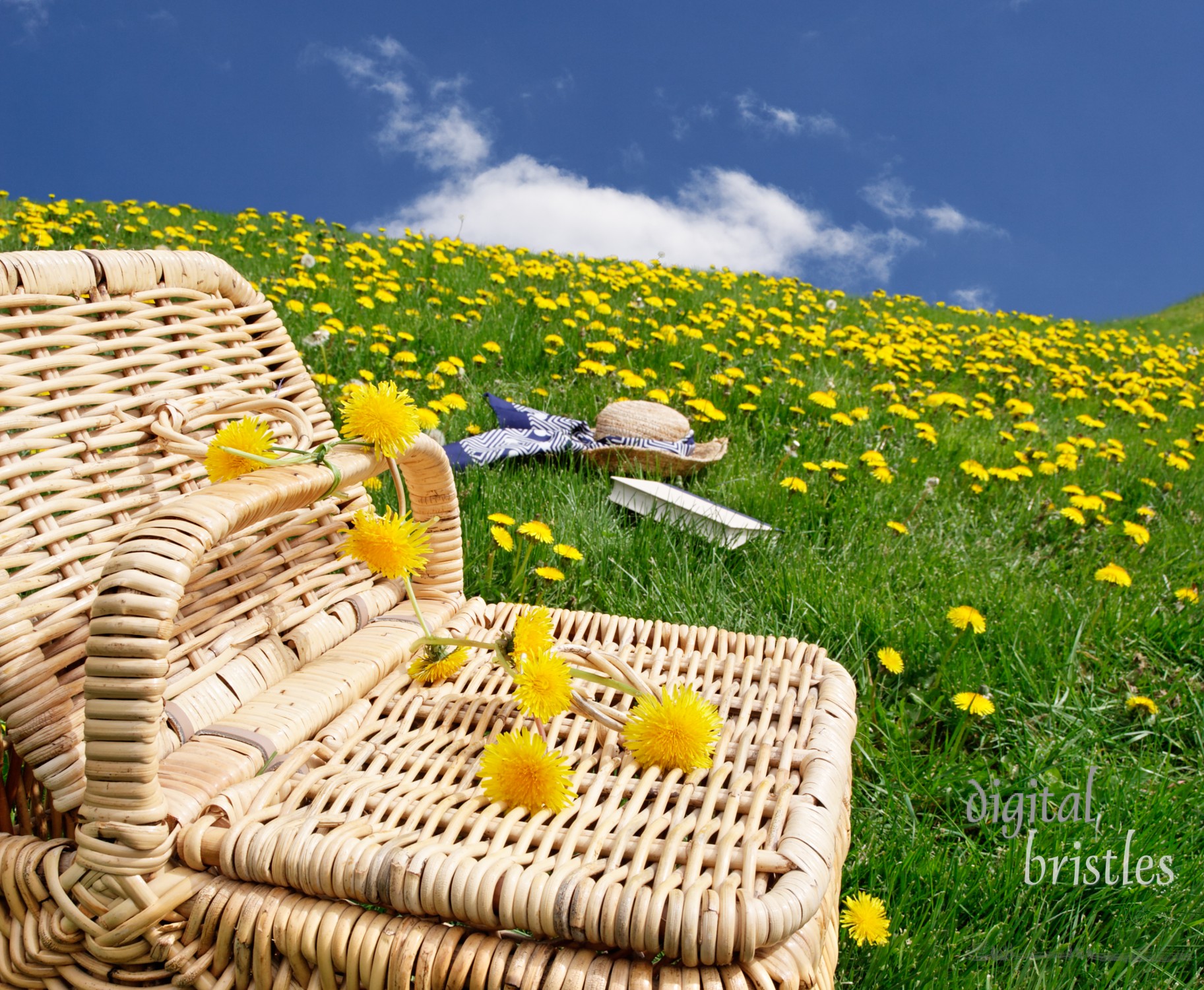 Picnic basket with hat and book in the distance