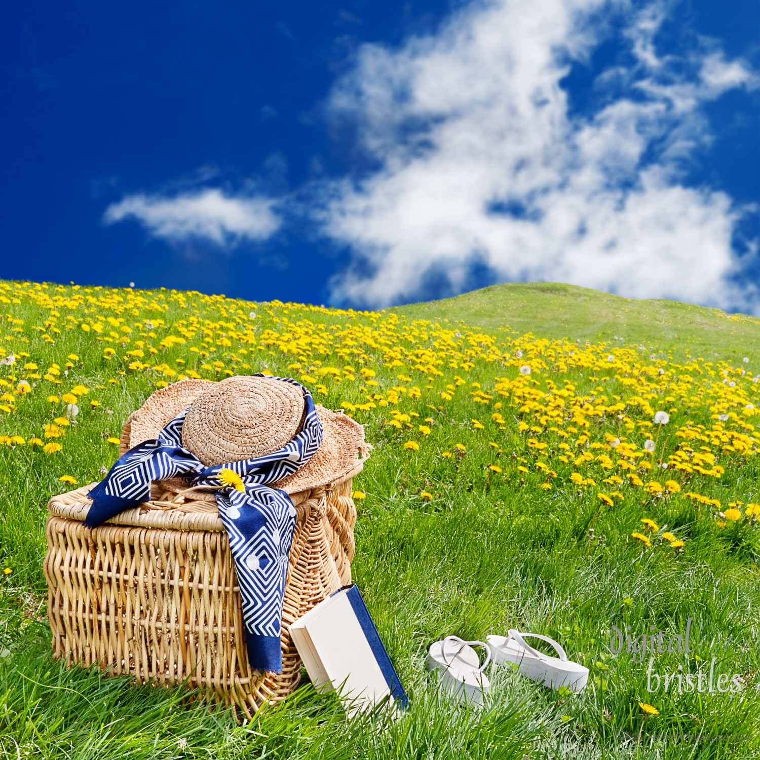 Straw hat, picnic basket, book & flip flops sitting on the grass in a rolling, dandelion filled meadow