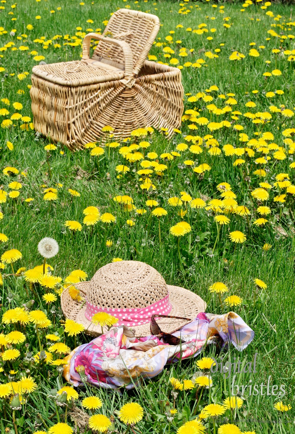 Hat, picnic basket, glasses & scarf in a meadow