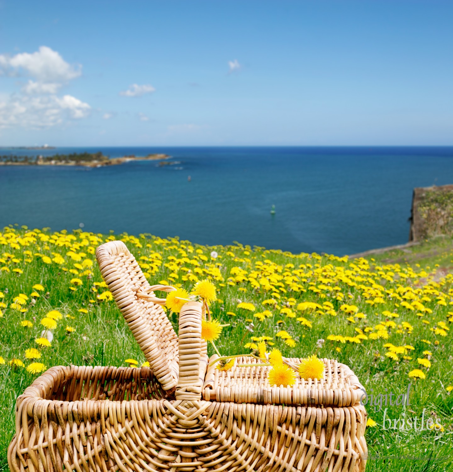 Picnic basket sitting high atop a field overlooking the ocean