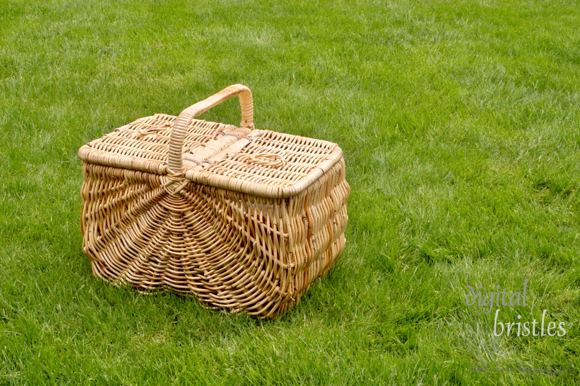 Wicker basket sitting in grass