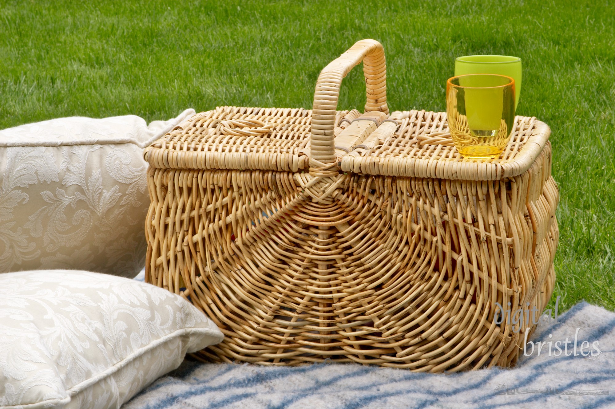 Picnic basket, blanket & cushions