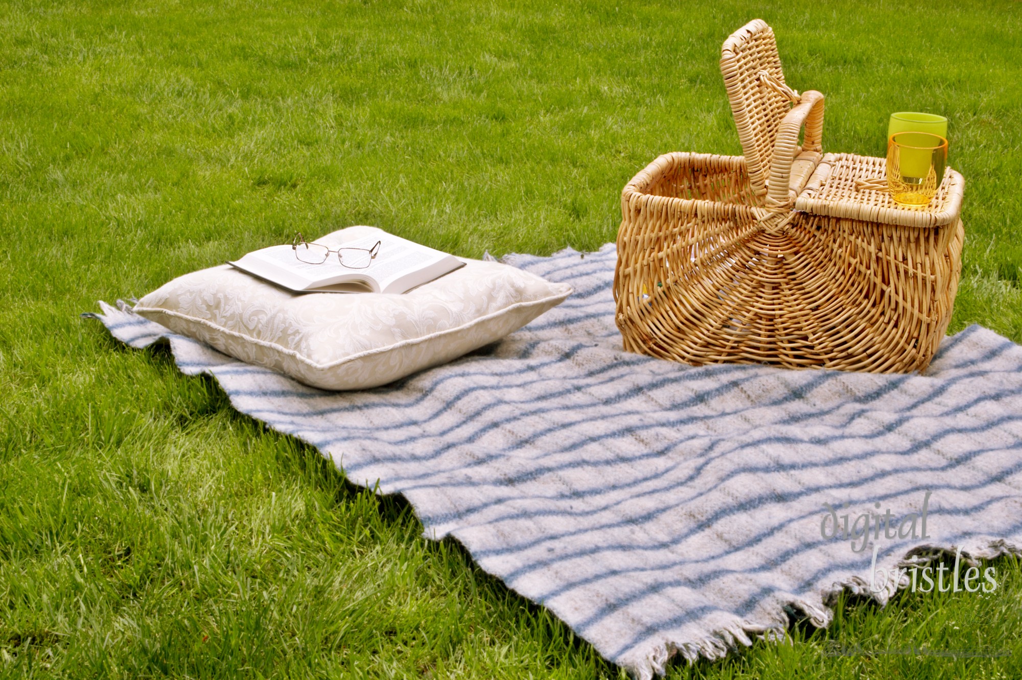 Picnic basket, cushion & book on the grass