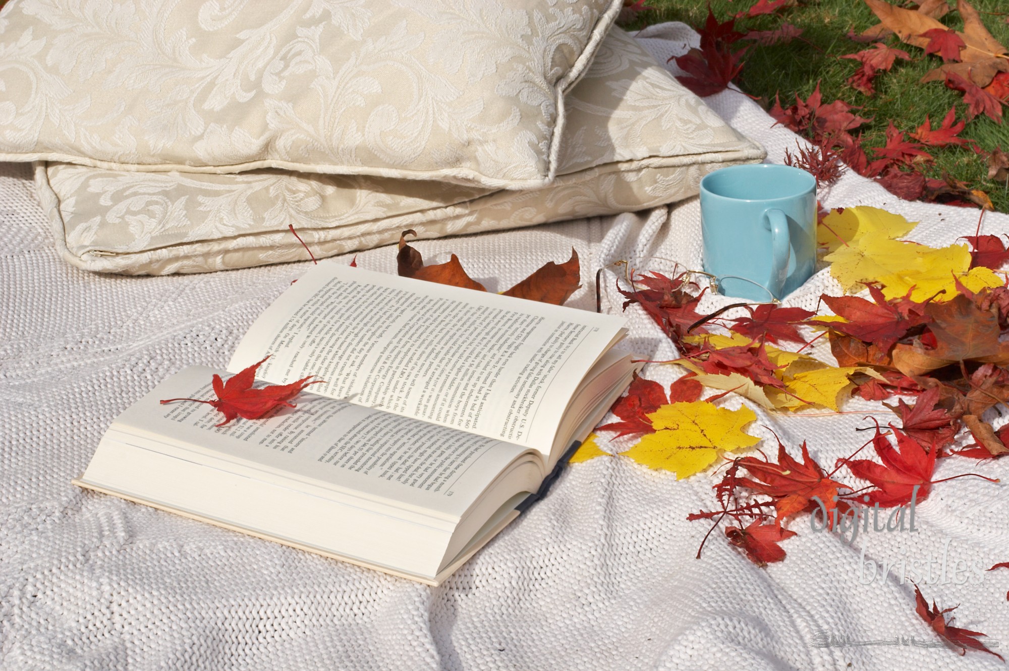 Cushions and blanket outside on fall afternoon